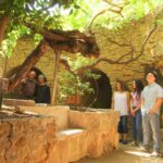 Tourists at a parkin Fresno County